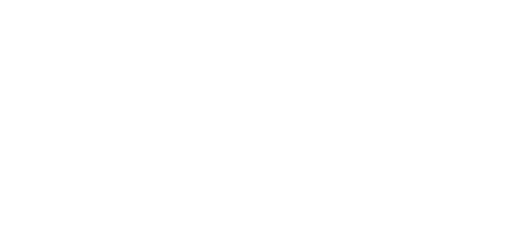 BSV-BW.png